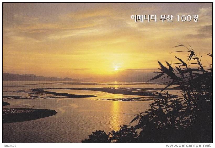 Korea - Sunset At Nakdong River Migratory Bird Sanctuary, Busan Metropolitan City - Korea, South