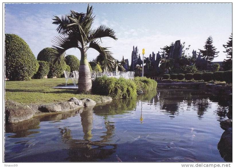 Taiwan - Bottle Palm (Hyophore Lagenicaulis), View Of Yilan County - Taiwan