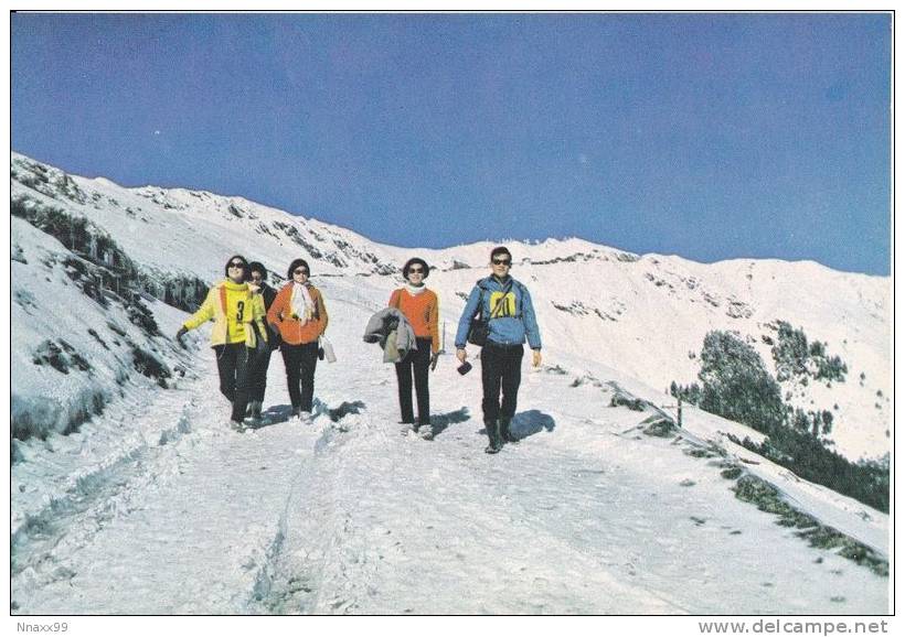 Taiwan - Marching On The Snow, Mt. Ho-Huan - Taiwan