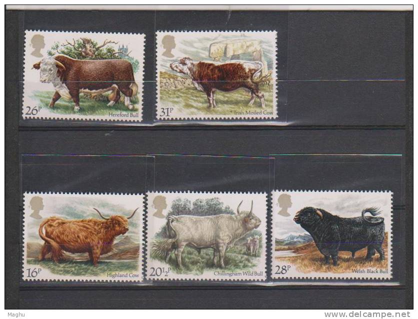 Great Britain 1984  MNH, Cattle, Cow, Bull, Animal, Farm Milk, - Vaches