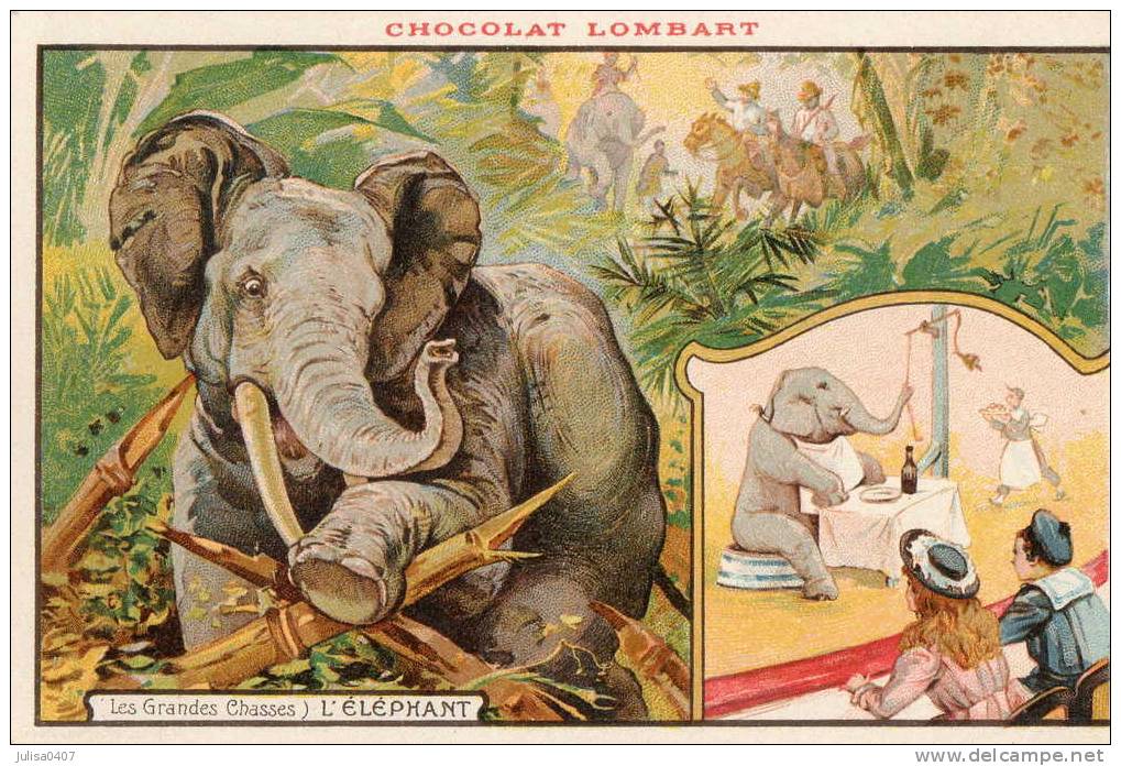 ELEPHANT Carte Publicitaire Chocolat Lombart Chasse - Éléphants