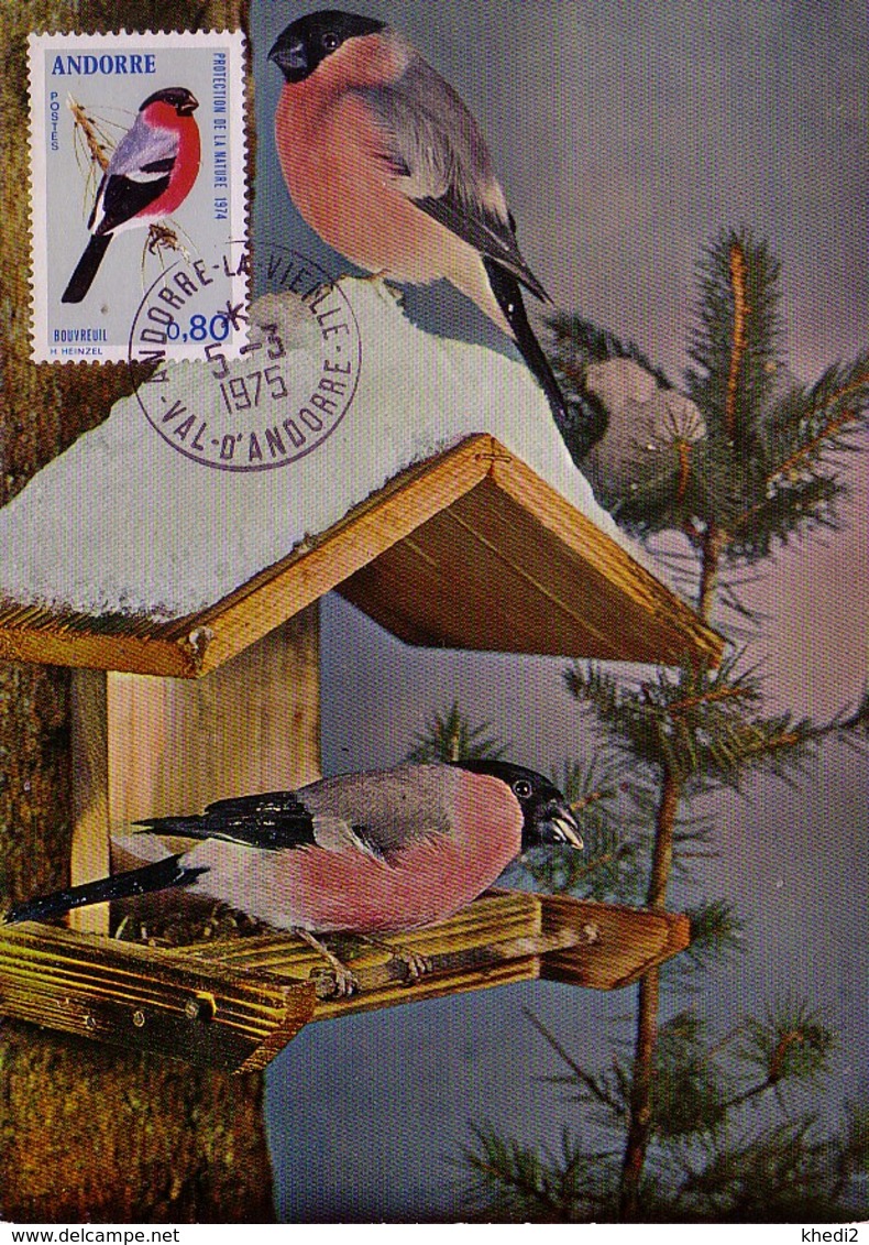 Carte Maximum CM Andorre - Oiseau Bouvreuil - Bullfinch Bird Maxi Card -  Dompfaff Vogel Maxikarte - Cartes-Maximum (CM)