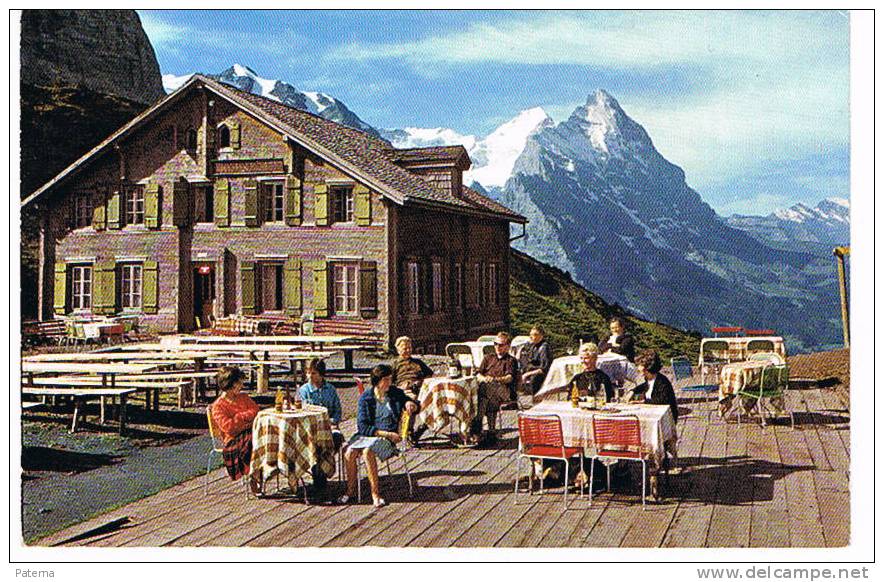 Postal, GRINDELWALD 1963 (Suiza), Post Card, Postkarte, Cartolina Postale - Lettres & Documents