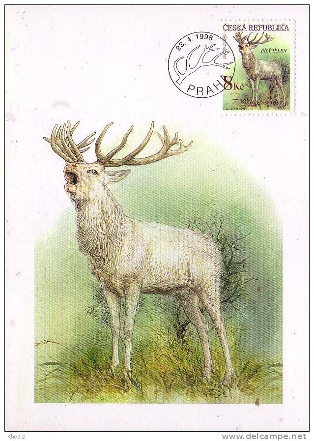 Carte Maximum CM République Tchèque - CERF Gibier Chasse Cervidé - Maxi Card  Maxikarte - 01 - Animalez De Caza