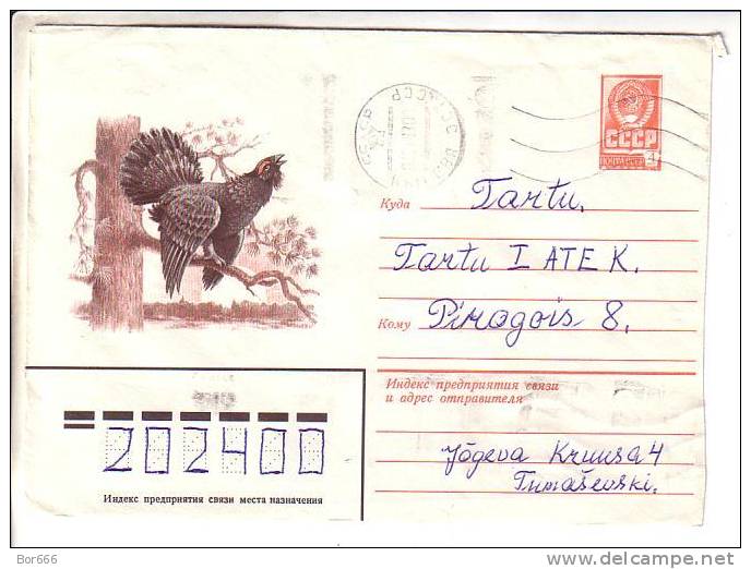 GOOD USSR Postal Cover 1982 - Birds - Grouse - Gallinacées & Faisans