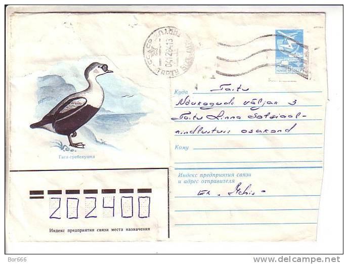 GOOD USSR Postal Cover 1983 - Bird - Ducks
