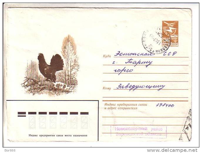 GOOD USSR Postal Cover 1983 - Bird - Grouse - Gallinacées & Faisans