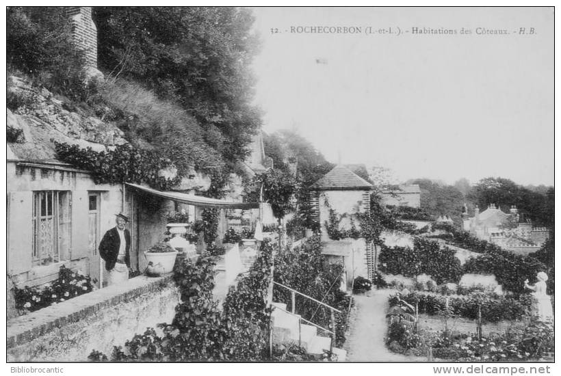 D37 - ROCHECORBON - VUE ANIMEE - HABITATIONS DES CÖTEAUX - Rochecorbon