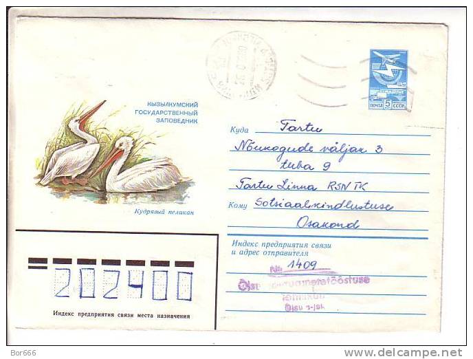 GOOD USSR Postal Cover 1983 - Birds - Pelicans - Pélicans