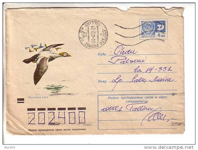 GOOD USSR Postal Cover 1971 - Birds - Eenden