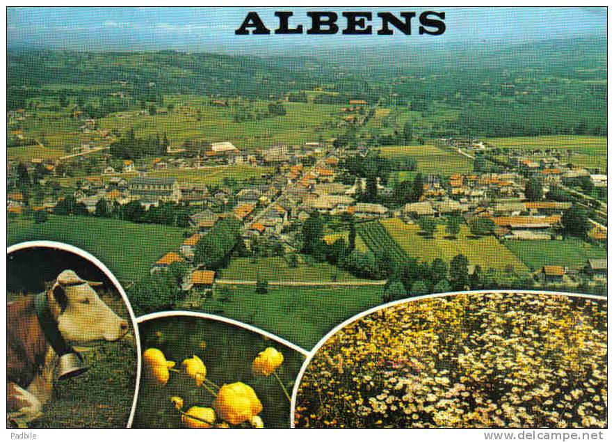 Carte Postale 73. Albens Vue Aérienne Trés Beau Plan - Albens