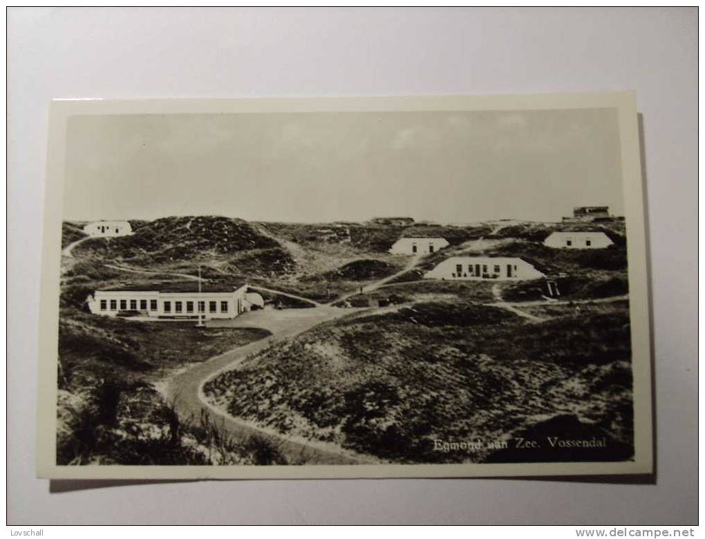 Egmond Aan Zee. - Vossendal. (12 - 9 - 1956) - Egmond Aan Zee