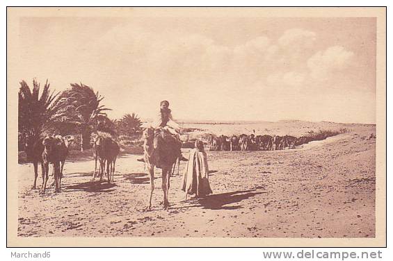 ALGERIE.EL OUED. CARAVANE A L OASIS - El-Oued