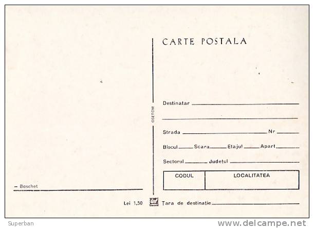 BASKET-BALL : ROUMANIE / BUCAREST : UN MATCH De BASKET - ANNÉE: ENV. 1970 (e-412) - Basket-ball