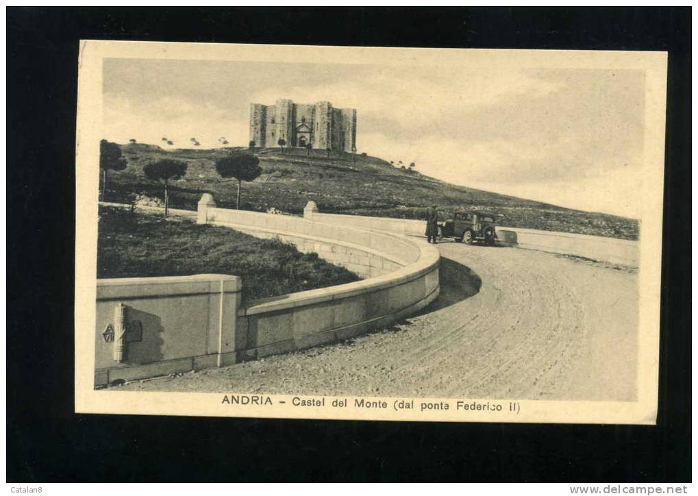 S1771 CARTOLINA ILLUSTRATA PUGLIA ANDRIA CASTEL DEL MONTE DAL PONTE FEDERICO II  FP. NV. - Andria