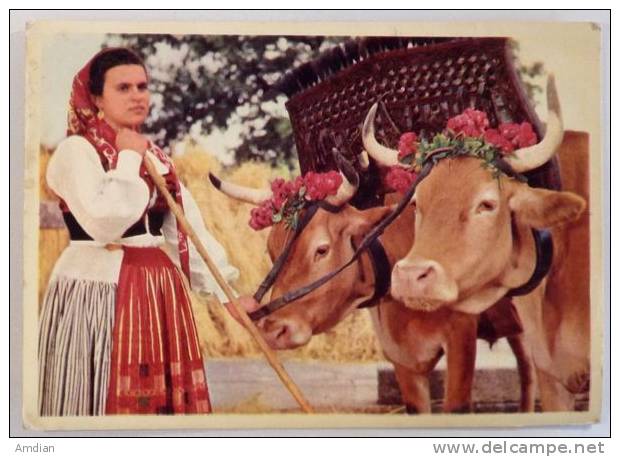 PORTUGAL - Country Woman In Work Dress, Sta. Marta De Portuzelo, Viana Do Castelo - Old 1960's Postcard - Viana Do Castelo