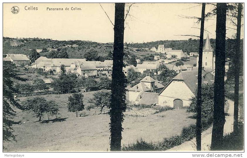 1 CP Non Circulé GENDRON-CELLES Panorama NELS Corbisier - Houyet