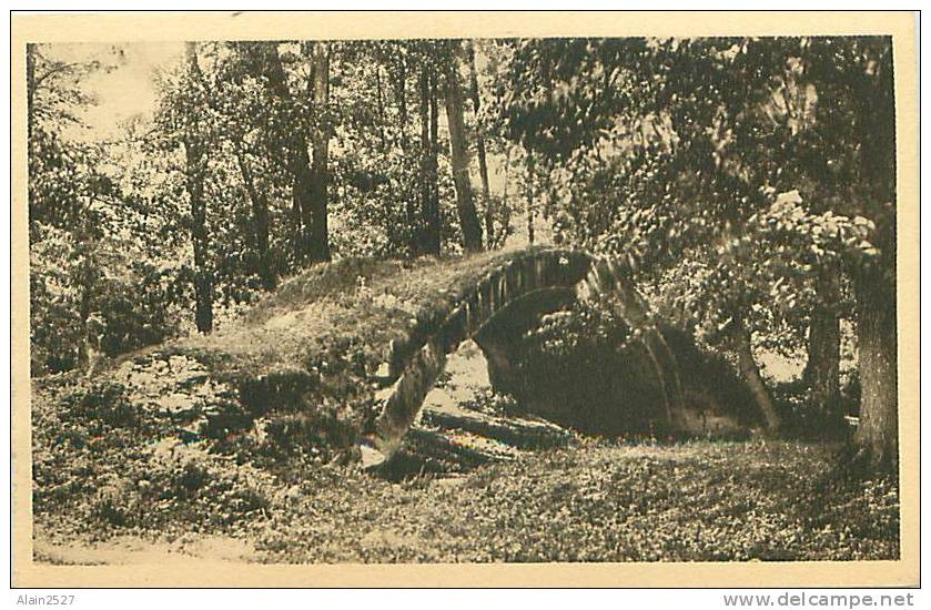 42 - CHARLIEU - Un Coin Pittoresque - Le Pont Du Diable (F. Marmonier, édit., N° 20) - Charlieu