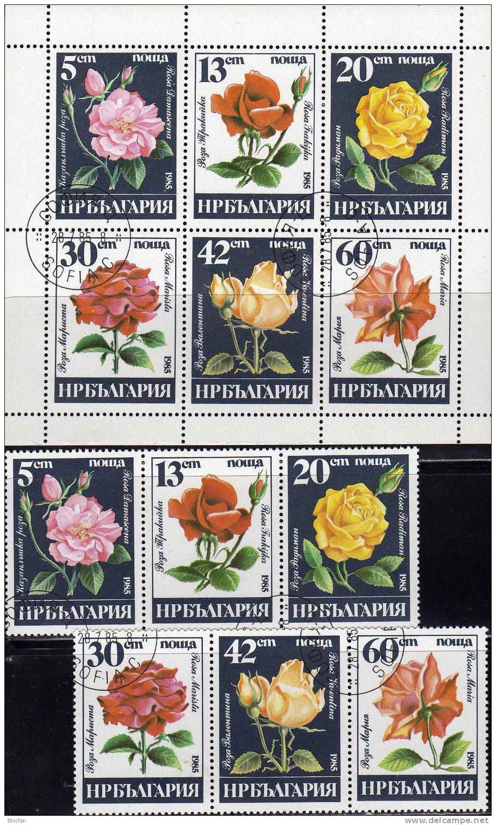 Flora Naturschutz 1985 Bulgarien 3373/8 Kleinbogen O 3€ Rosen Nature Hojita Hb Bloc Rose M/s Flower Sheetlet Bf BULGARIA - Roses