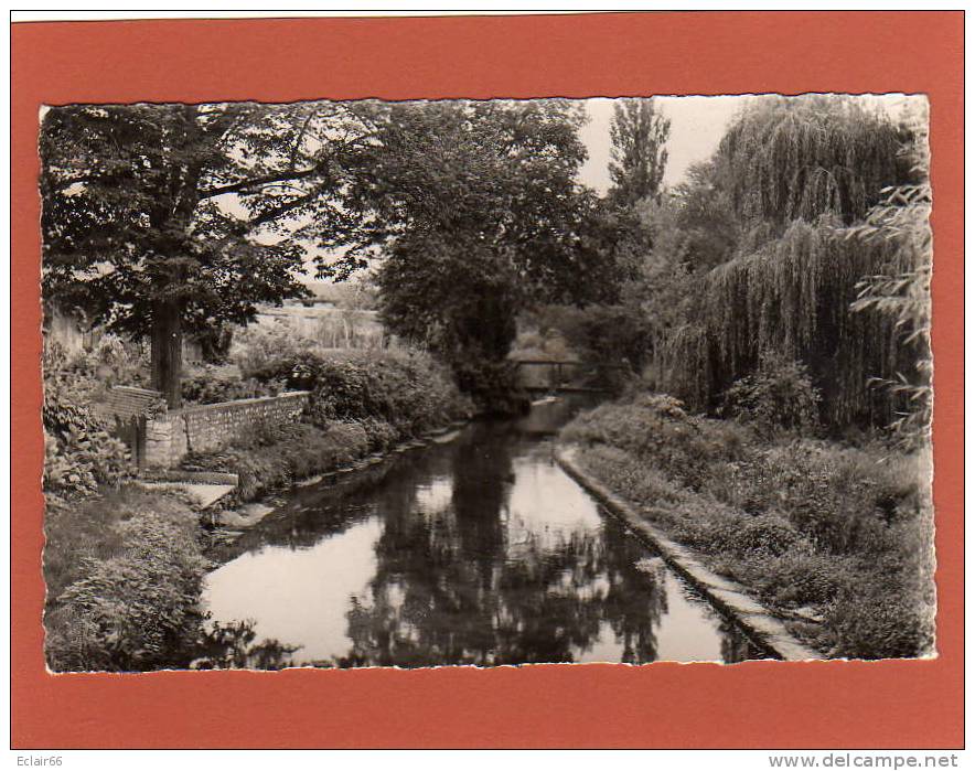 78   Septeuil Environs- Vue Sur La Vaucouleurs  CPSM  Dentellée  Année 1951 édit  M. AUBE - Septeuil