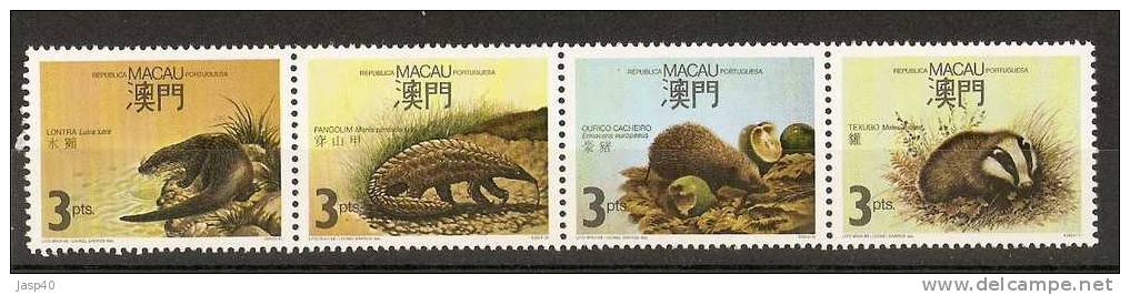 N - MACAU AFINSA 563/566 - SÉRIE NOVA - MNH - Unused Stamps