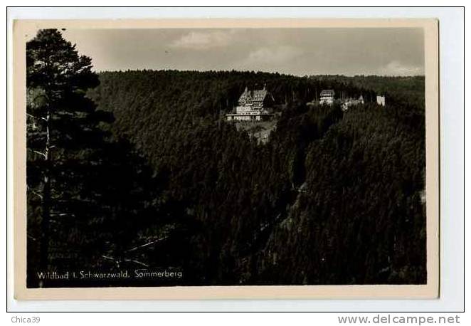 011442  -  Wildbad I. Schwarzwald   Sommerberg - Hoechenschwand