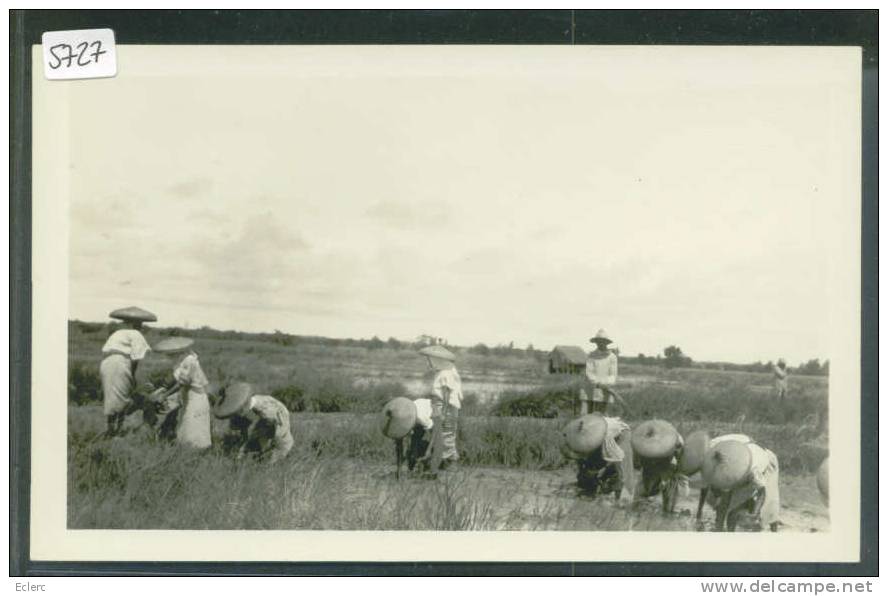 PILIPINAS - PEASANTS WORKING IN A RICE FIELDS  - TB - Philippines