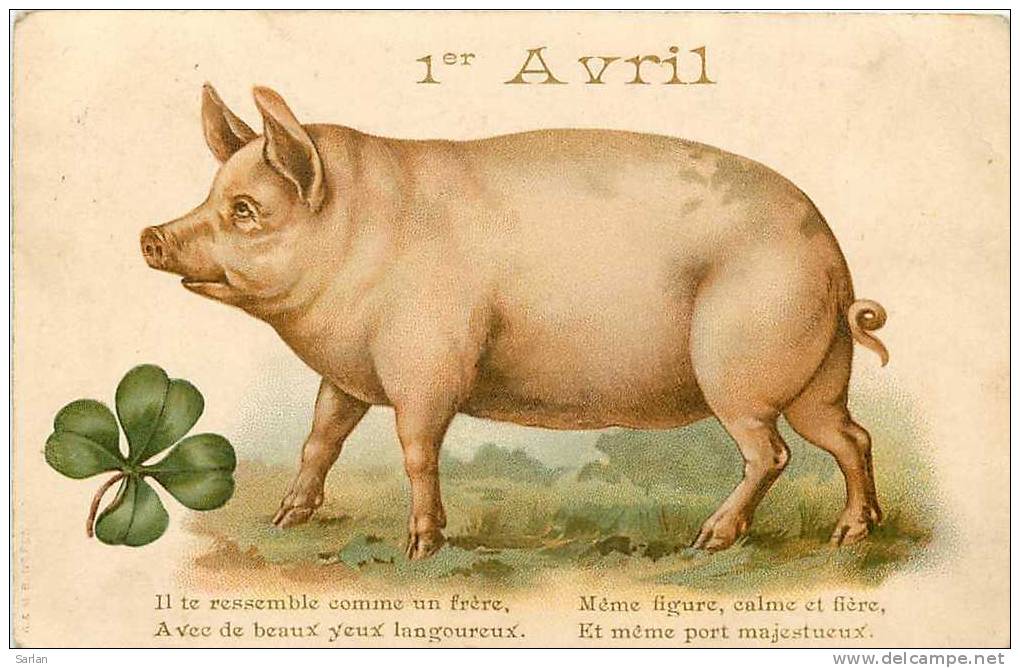 Animaux Cochon , *92 - Pigs