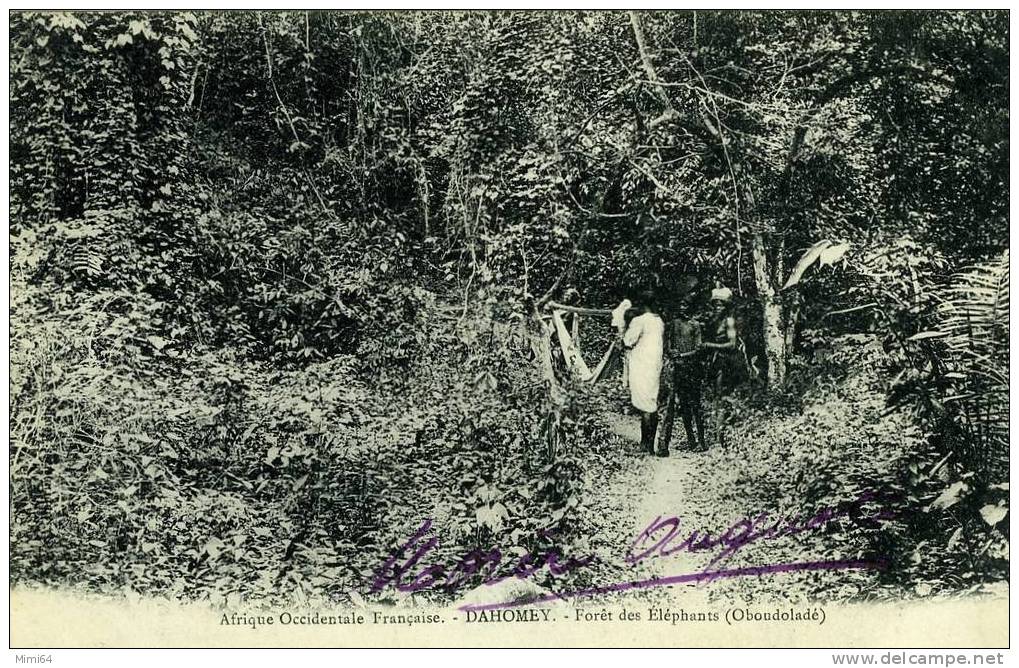 DAHOMEY.FORET DES ELEPHANTS . OBOUDOLADE .(cette Carte Etait Collee Dans Un Album Voir Scan Verso) - Dahomey