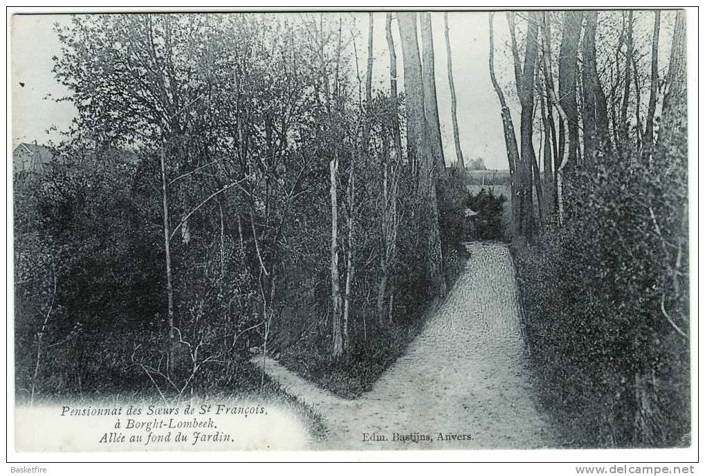 Pensionnat Des Soeurs De St. François à Borght-Lombeek: Allée Au Fond Du Jardin - Roosdaal