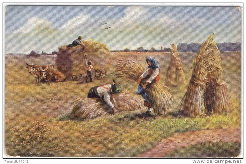 ILLUSTRATOR - AUGUST MUELLER - HAY FIELD - GATHERERS - HAY WAGON - CIRCA 1905 - Müller, August - München