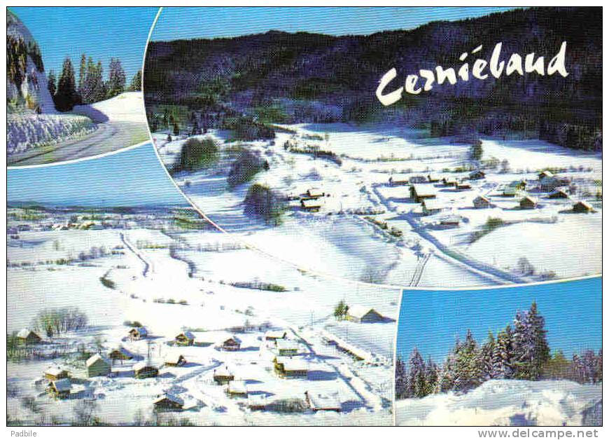 Carte Postale 39. Cerniebaud   Base De Ski De Fond Trés Beau Plan - Autres & Non Classés