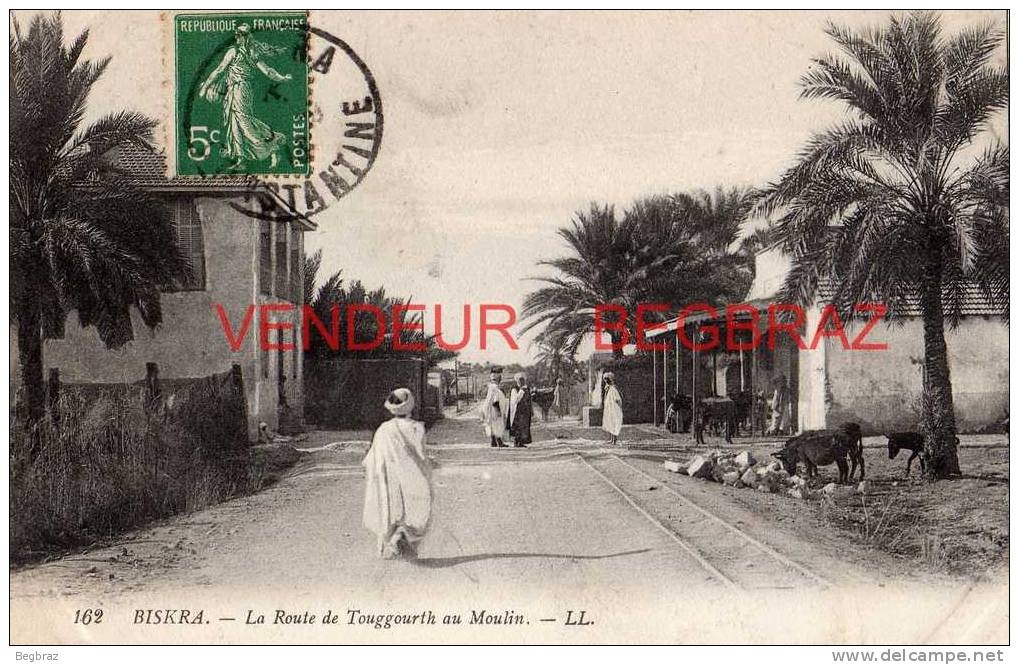 BISKRA       162     LA ROUTE DE TOUGOURTH AU MOULIN - Biskra