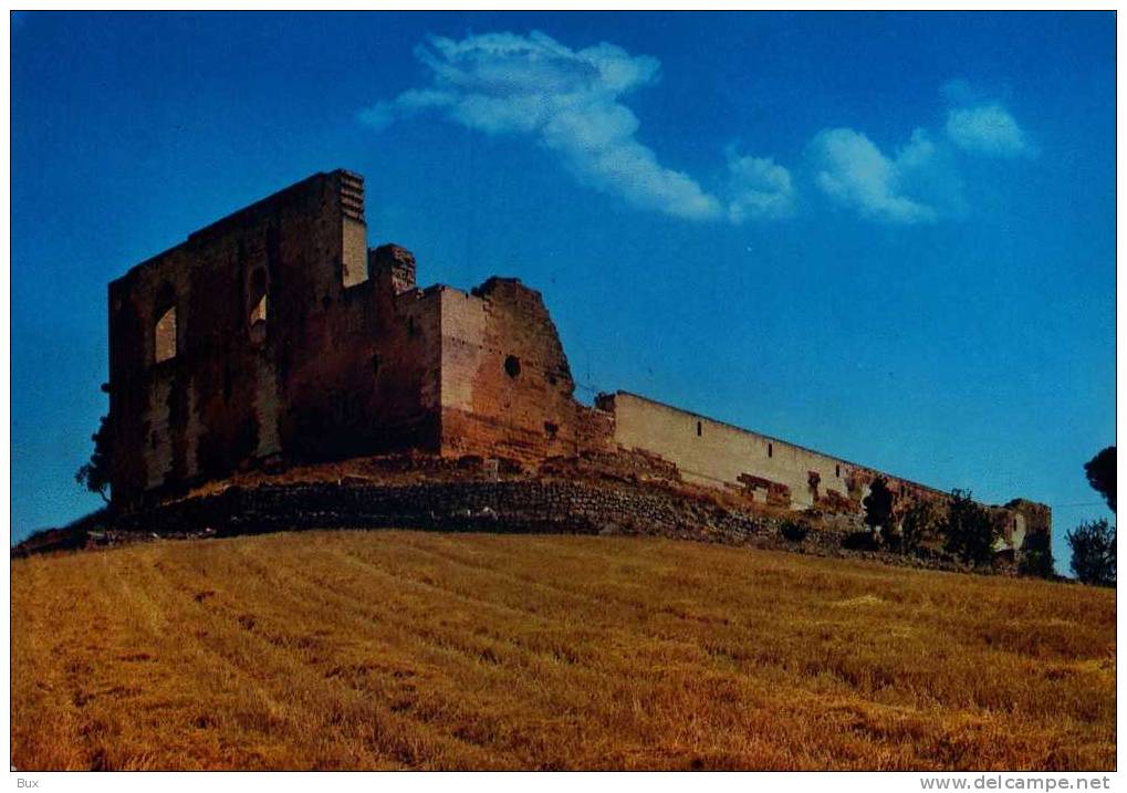 GRAVINA  CASTELLO SVEVO BARI PUGLIA  NON   VIAGGIATA  COME DA FOTO SCRITTA SUL RETRO - Bari