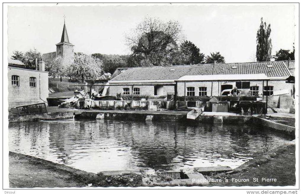 14952  -  Pisciculture  à  Fouron  St  Pierre - Fourons - Voeren