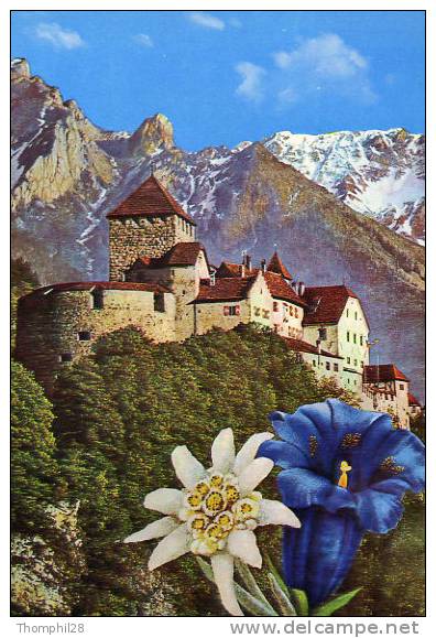 LIECHTENSTEIN - Fürstentum / Principality / Principauté - SCHLOSS VADUZ Residenz Des Regierenden - TBE, Neuve, 2 Scans - Liechtenstein