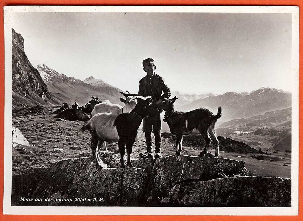 Ch206 Jochalp,Berger Et Chèvres,Ziege. Tschierischen 1948 Vers Muttenz,Grand Format - Autres & Non Classés