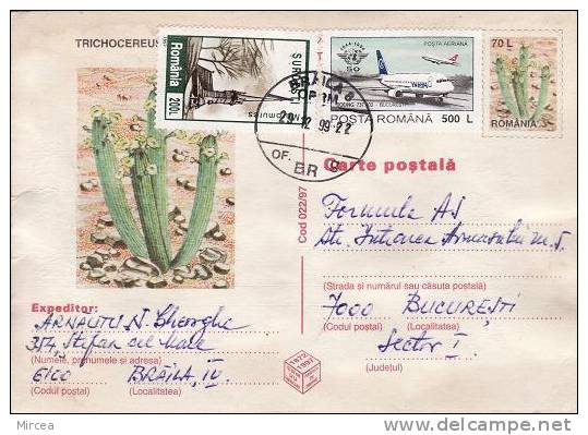 M.2207 - Roumanie  - Carte Postale  - Obliteration Speciale - Marcofilie
