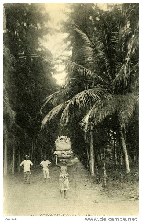 DAHOMEY.COTONOU . ALLEE DES FELAOS .(cette Carte Etait Collee Dans Un Album Voir Scan Verso Et Coupe) - Dahome