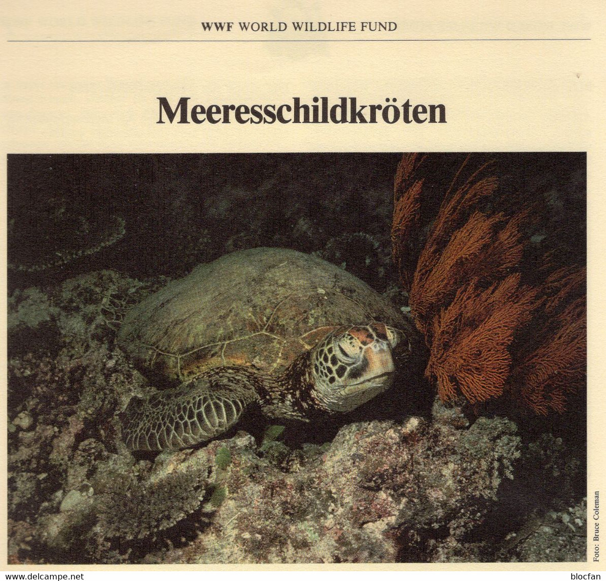 MC-Serie 1983 WWF 2 Anguilla 541/4 4x MKt. 60€ Meeres-Schildkröten Strand Naturschutz+Dokumentation Maxi-cards Of Nature - Maximum Cards