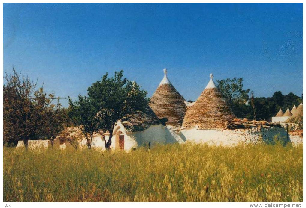 FASANO  PUGLIA  BRINDISI  NON   VIAGGIATA  COME DA FOTO - Brindisi