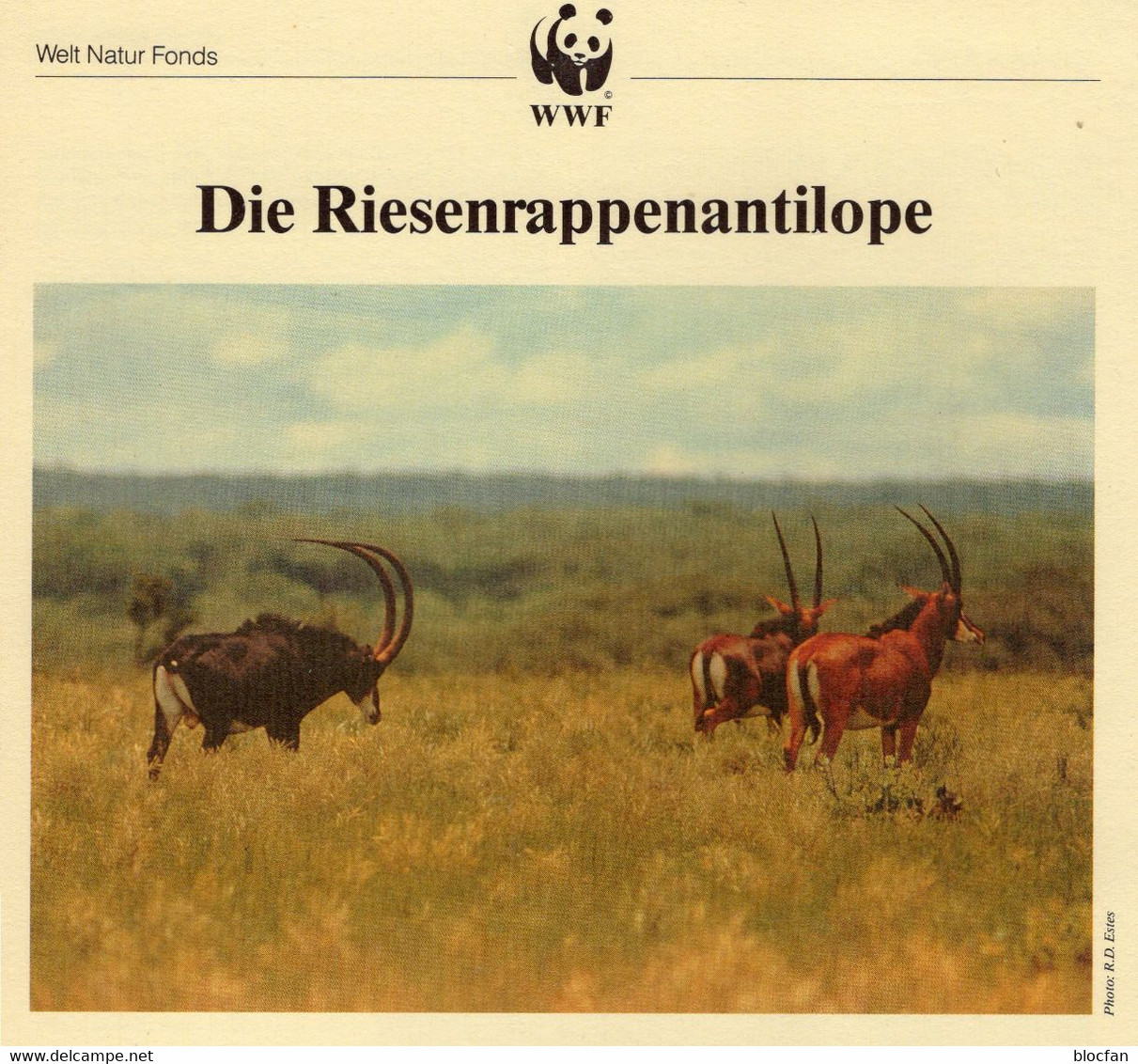 WWF-Serie 92 Angola 799/2 FDC 12€ Riesen-Antilope Naturschutz 1990 Mit Dokumentation Antilopen Fauna Cover Of AFRICA - Angola