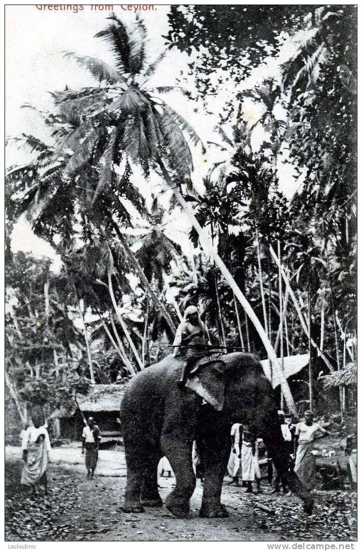 GREETINGS FROM CEYLON ELEPHANT - Sri Lanka (Ceylon)