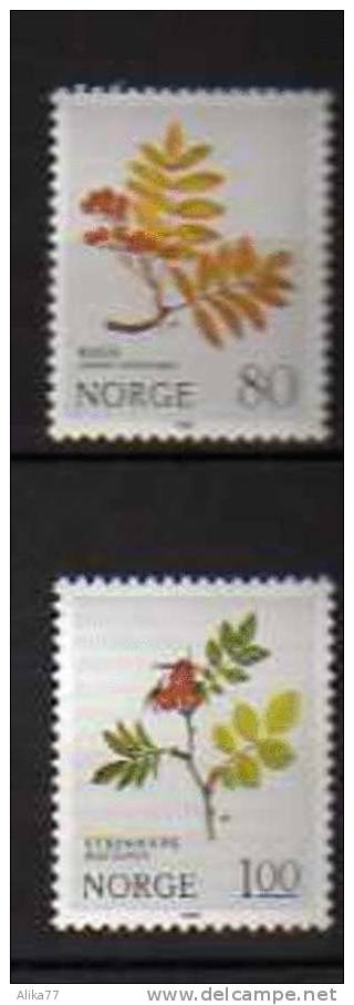 NORVEGE      Neuf **     Y. Et T.  N° 781 Et 782         Cote: 1,00 Euros - Ungebraucht