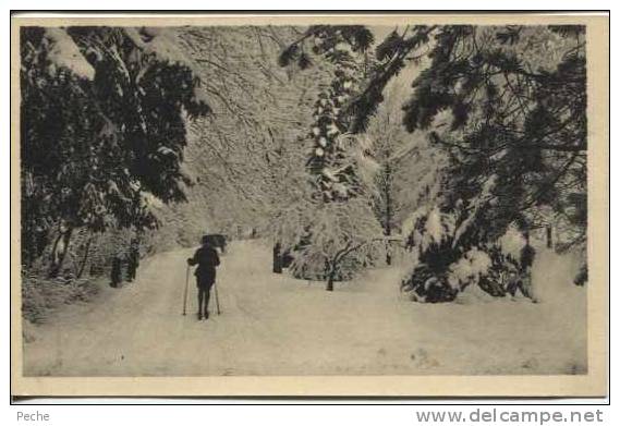 N°5511 -cpa Chamonix -le Parc Du Majestic En Hiver- - Sports D'hiver