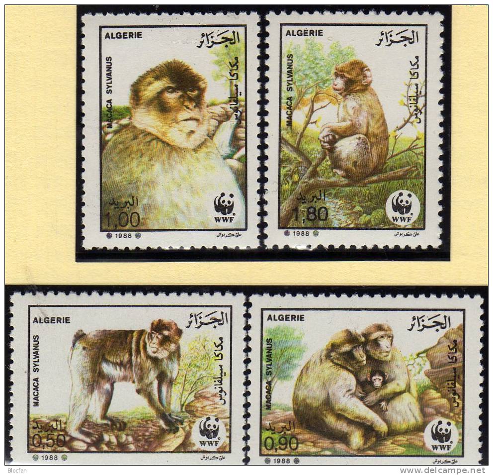 Naturschutz 1988 WWF-Serie 69 Algerien 972/5 **,4xFDC+ 4xMK 26€ Berber-Affe Dokumentation Cover+maxicard Set Of Africa - Nature