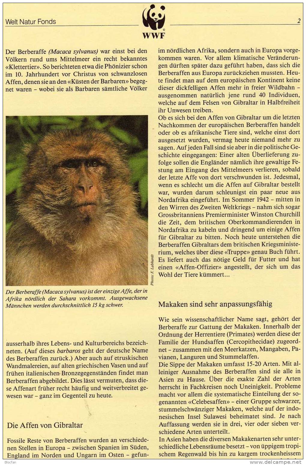WWF 1988 Serie 69 Algerien 972/5 **, 4xFDC Plus 4xMK 26€ Berber-Affe Naturschutz Dokumentation Fauna Set Of Africa - Colecciones (en álbumes)