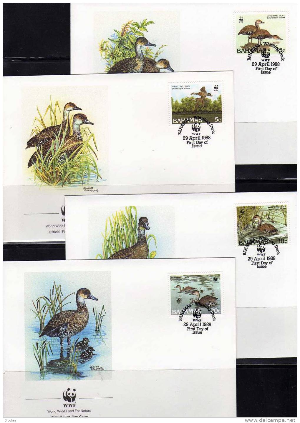 Pfeifgans WWF-Set 66 Bahamas 672/5 4x FDC 40€ Kuba-Gans Naturschutz Dokumentation 1988 Wildlife Cover Of Caribic America - Oies