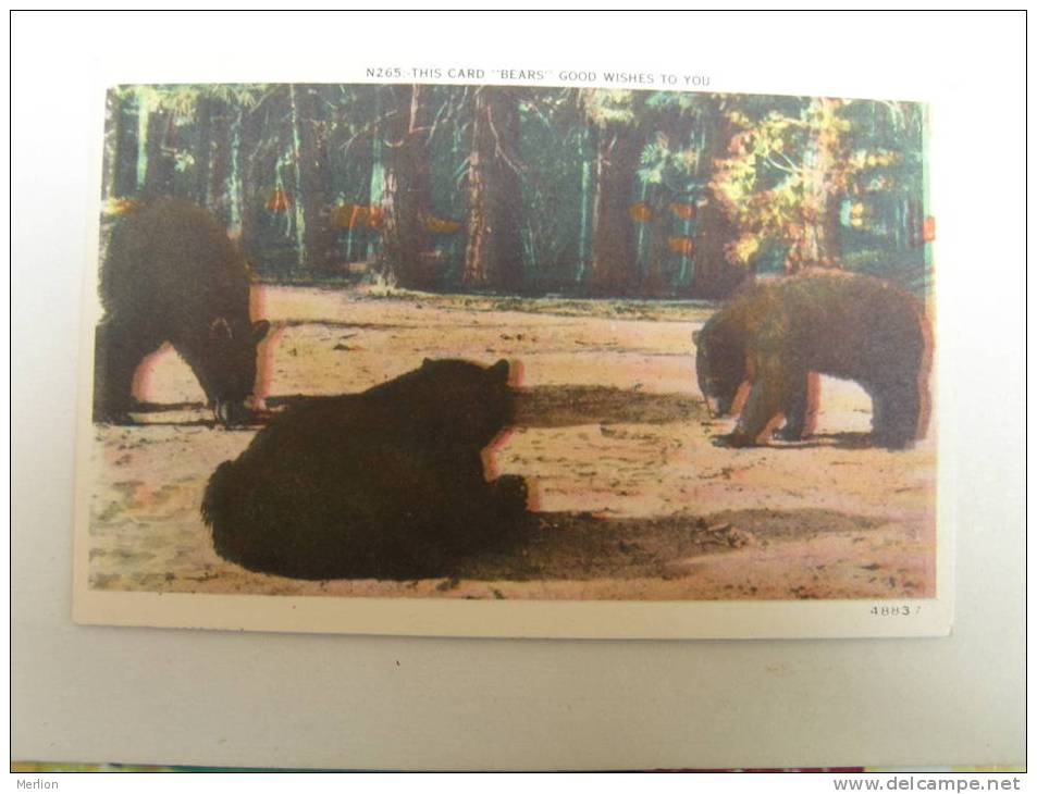 Bears - Bear       VF  D67741 - Bären