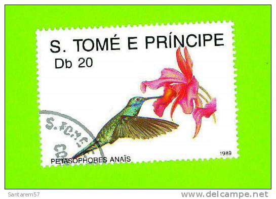 Timbre Oblitéré Used Mint Stamp Selo Carimbado Petasophores Anaïs S. TOME E PRINCIPE Db 20 1989 - Sao Tome Et Principe